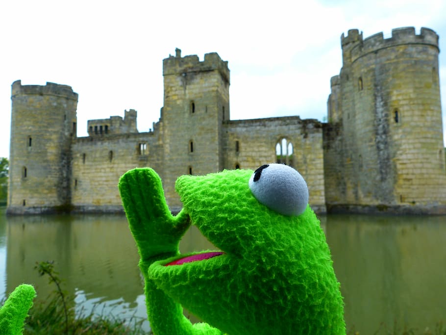 Kermit, Frog, Fun, Castle, Wasserburg, call water castle, england, tower, battlements, towers