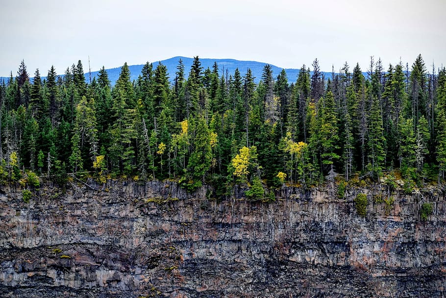 green, leafed, trees, top, rock formation, landscape, photography, mountains, cliff, forest