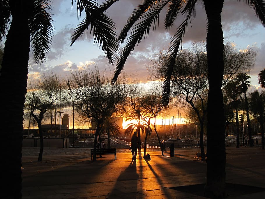 foto de silueta, persona, caminando, al lado, banco, dorado, hora, barcelona, españa, trópico - Pxfuel