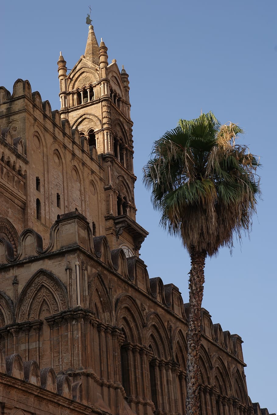 palermo, italy, italia, architecture, building, travel, city, sky, the cathedral, historical