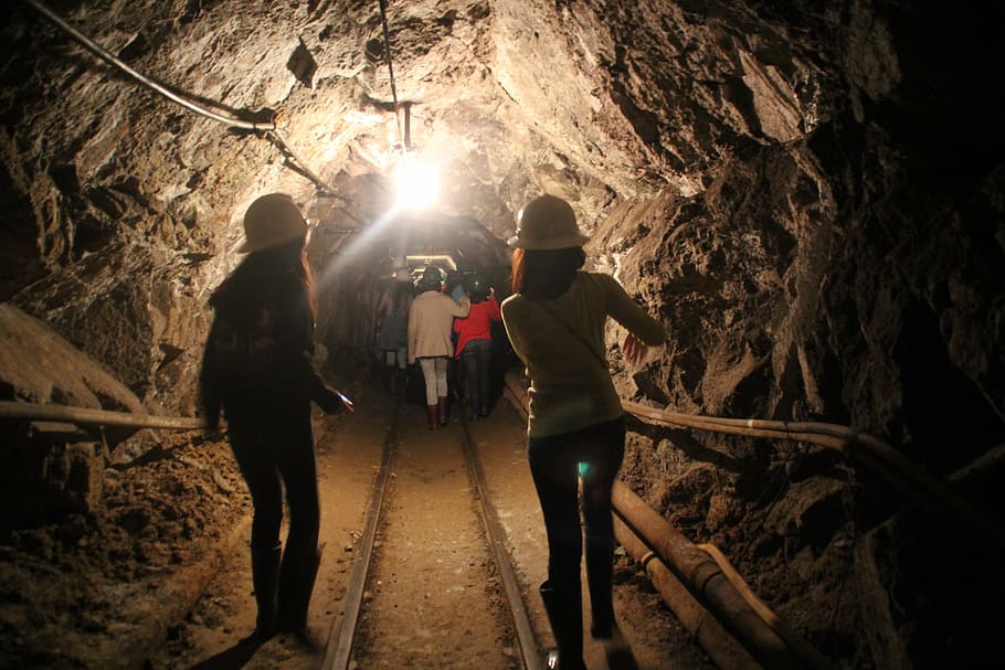 cueva, sitio minero, excavación, grupo de personas, caminar, árbol, vista trasera, naturaleza, personas reales, personas