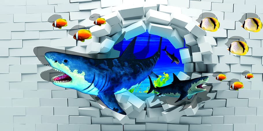pared, azulejos, peces, tiburones, azul, creatividad, multicolores, representación, en interiores, tiro de estudio