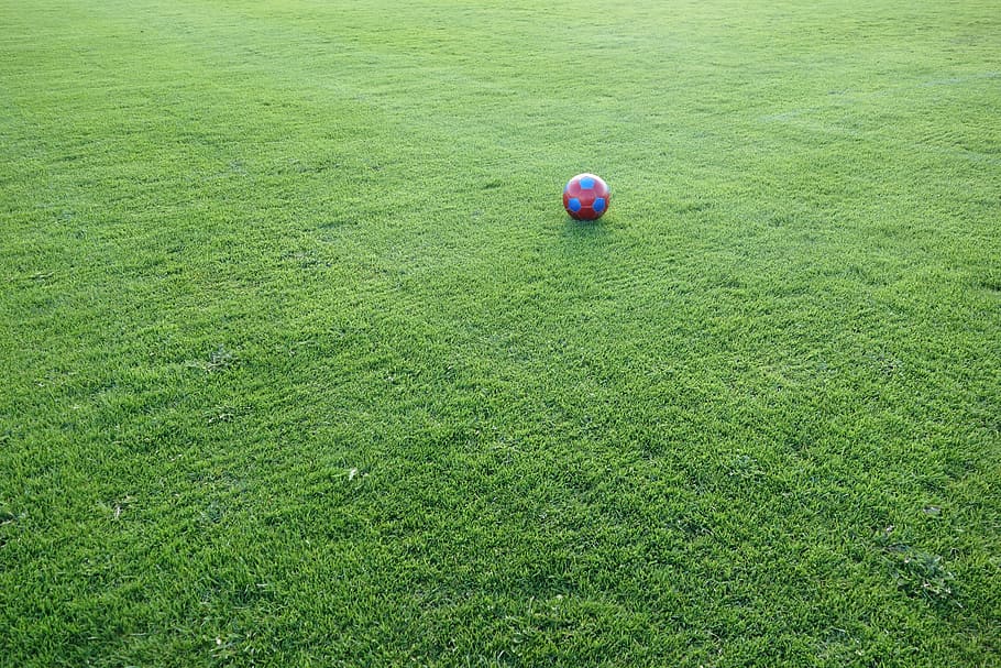 soccer ball, grass lawn, football, sports ground, ball, football pitch, sport, rush, ball sports, world championship