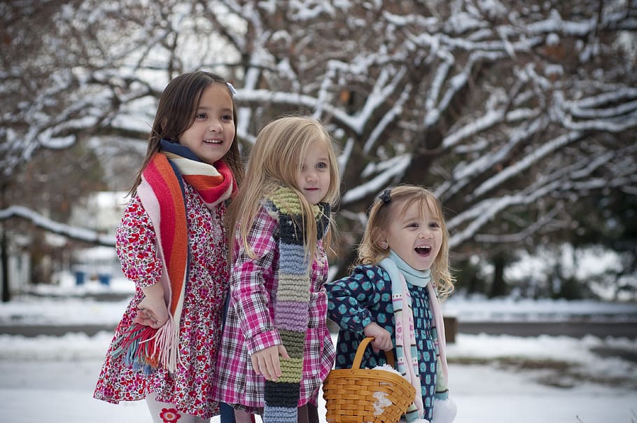 tiga, gadis, berdiri, coklat, pohon, tiga gadis, syal, saudara perempuan, musim dingin, salju