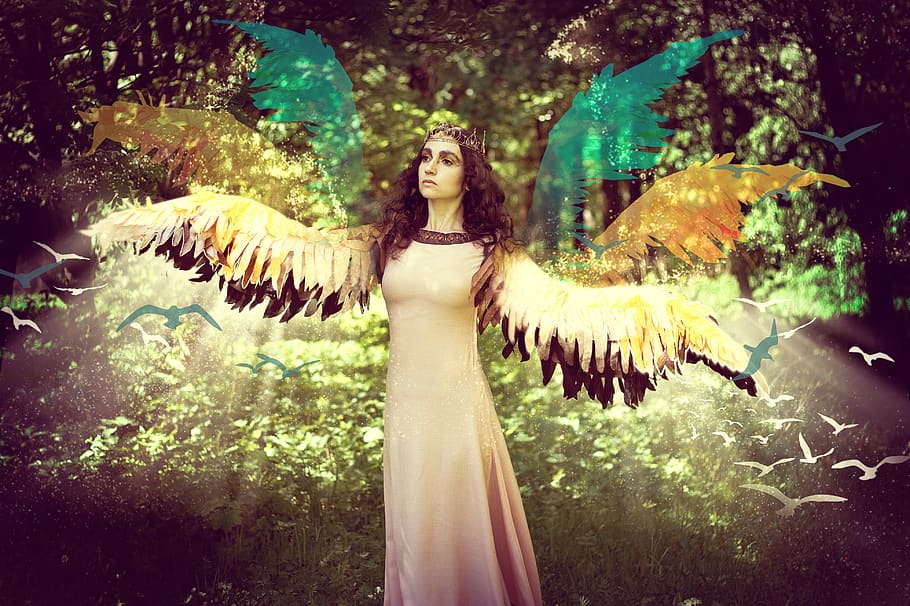 magic, fairy, wings, mag, witch, collage, nature, girl, elf, levitation