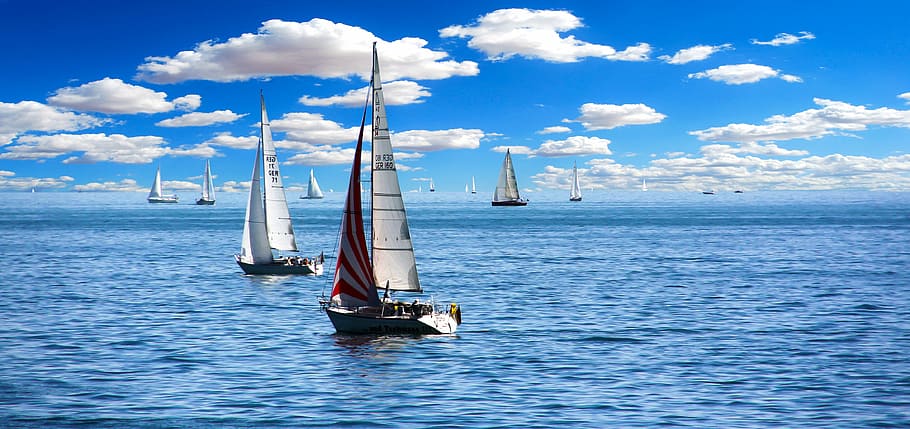 two, white, sailboats, body, water, sailing boat, sail, holiday, holidays, summer holiday