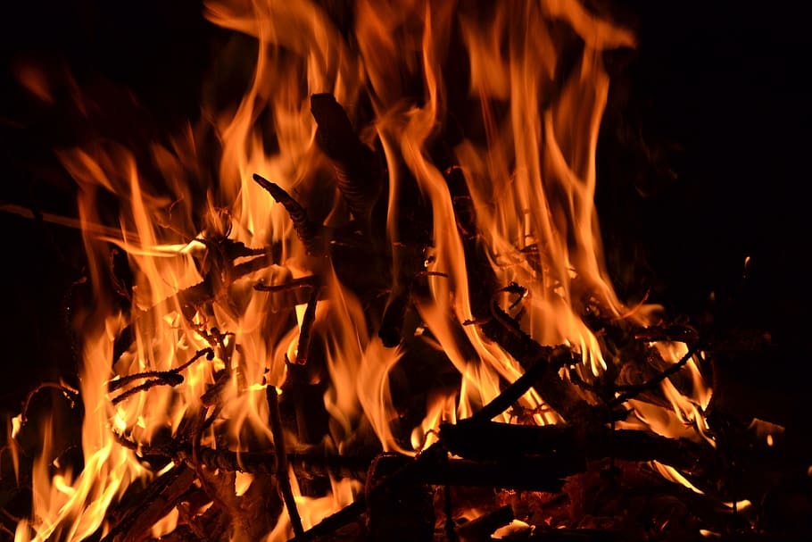 photography, burning, fire, wood, forest, nature, orange, black, bonfire, fire - natural phenomenon