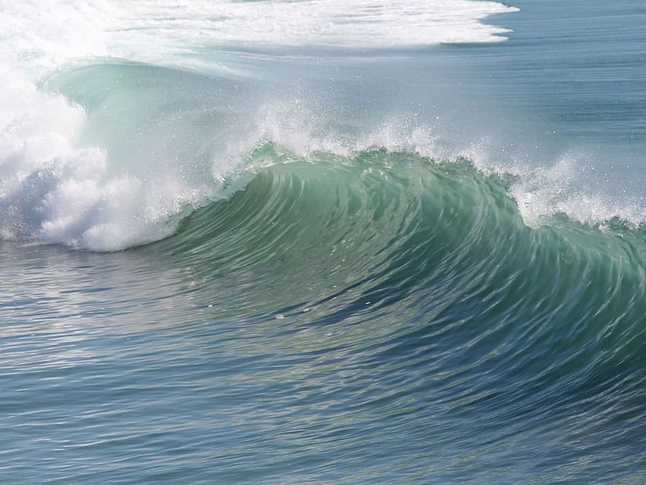 ocean barrel waves, beach, water waves, wave, ocean, nature, huntington, pacific, california, sea