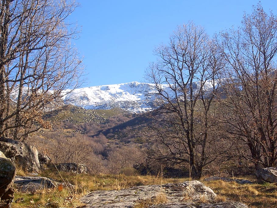 landscape, snow, nature, winter, mountain, mountain landscape, spain, salamanca, calendar, sierra de béjar
