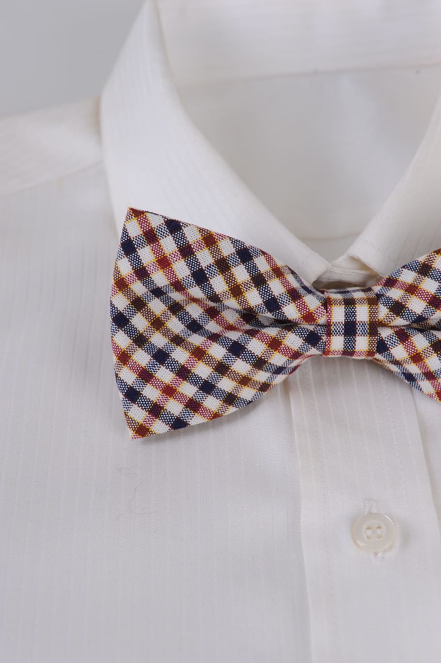 Gravata, Botha, Camisa, camisa de botão, bem vestida, padrão verificado, cor branca, roupa formal, dentro de casa, têxtil