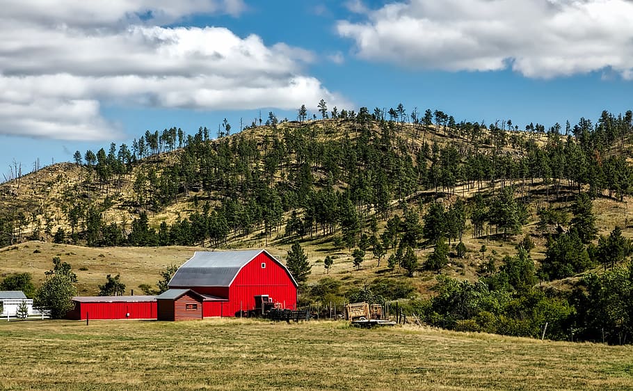 red, grey, wooden, barn, green, leaf trees, mountains, wyoming, landscape, scenic