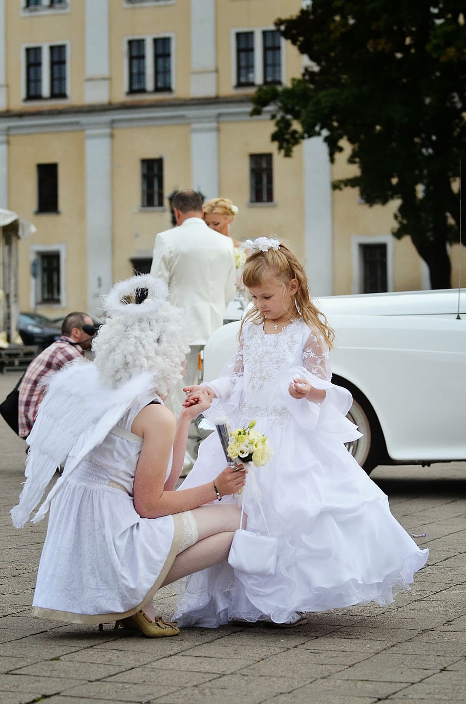 beautiful, wedding, angel, silhouette, white, wing, cute, celebration, event, bride