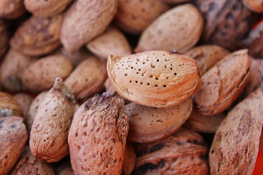 brown, winter, almonds, walnuts, fruit, food and drink, food, freshness, backgrounds, full frame