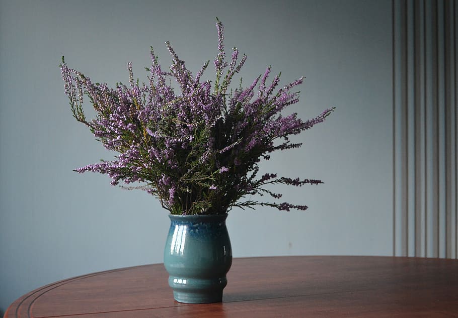 purple, flower arrangement, placed, table, Vase, Heather, Bouquet, Flowers, autumn bouquet, blue