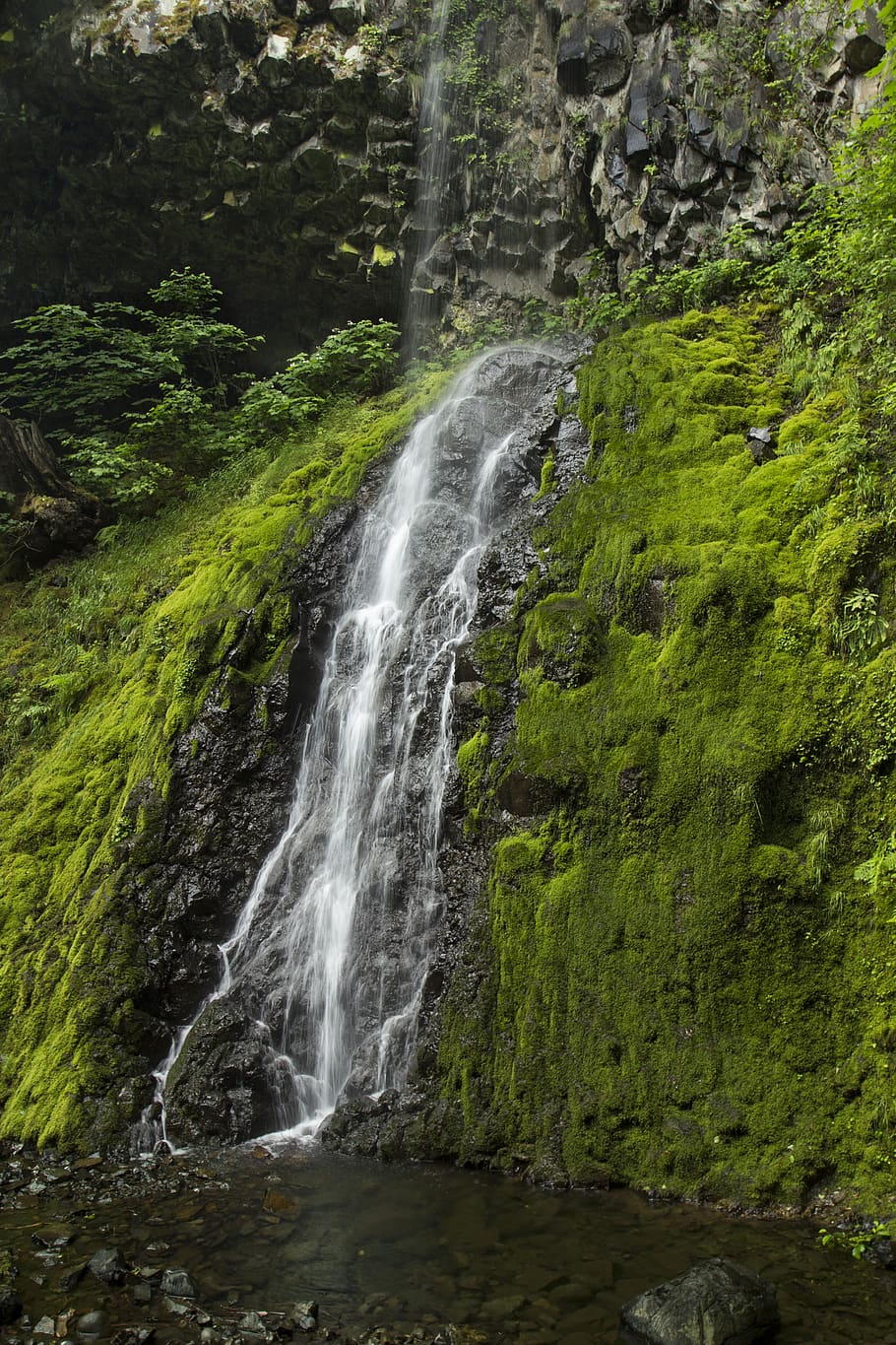 waterfall, nature, mountain, narrow, cliff, forest, natural, water, green, flowing