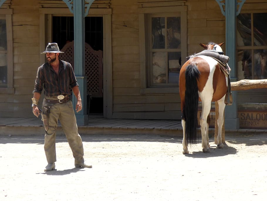 manusia, berdiri, di samping, kuda, barat, liar, sapi, koboi, topi, revolver