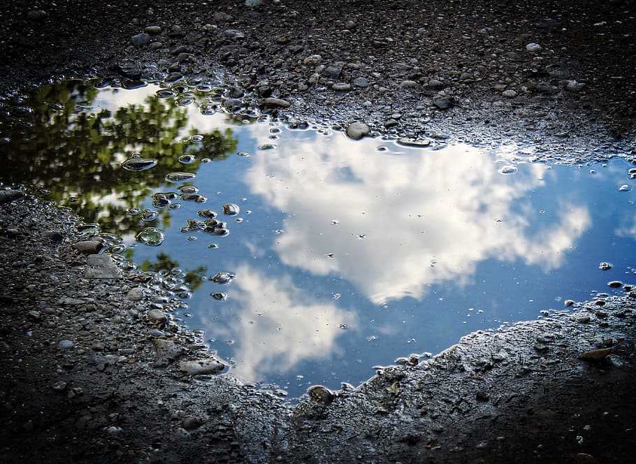 puddle, water, reflection, clouds, blue, wet, nature, sky, plant, tree