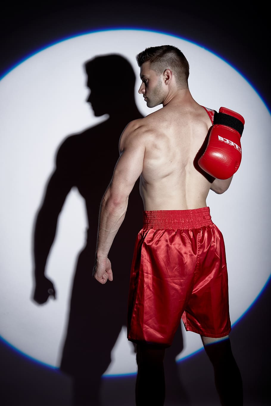 boxing, sport, sports, boxer, battle, gloves, kickboxing, athlete, fight, ufc