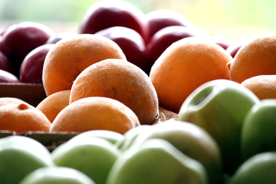 fruit, cartons, apple, peaches, plums, fruits, food, diversity, healthy, market