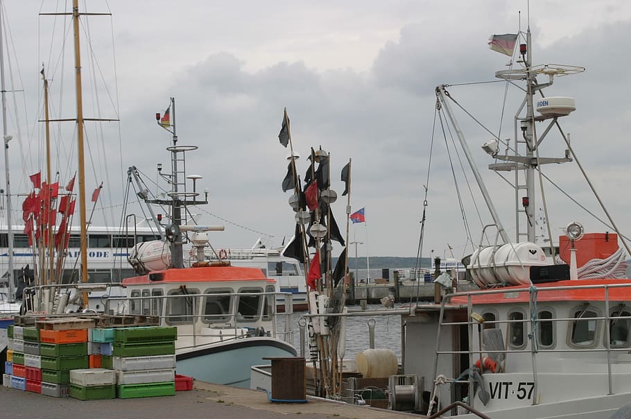 rügen island, fishing port, fishing boats, fishing, networks, boxes, sea, sailing ships, transportation, nautical vessel