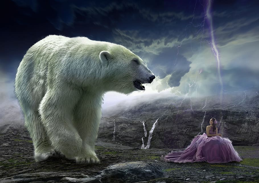 animal near woman, mammal, outdoors, nature, wild world, animal, polar bear, lightning, woman, bear