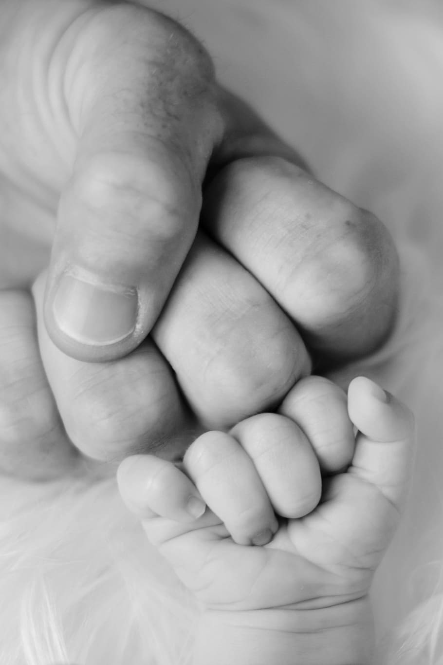 foto grayscale, dua, manusia, tangan, bayi, ayah, putra, manis, imut, keluarga