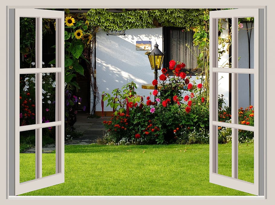 два, белый, деревянный, обрамленный, прозрачный, стекло, 6-lite, панель, окна, сад