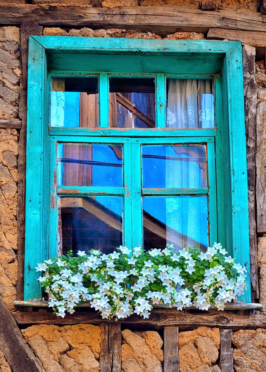 teal window glass, white, petaled flowers, Culture, Architecture, Old, Home, Home, Decor, old, home, decor