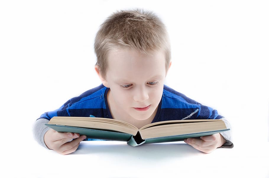boy, blue, gray, long-sleeved, shirt reading book, read, book, child, kid, student