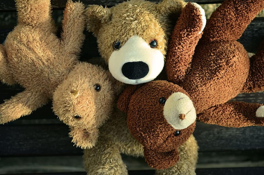 세, 갈색, 곰, 봉제 인형, 장난감, 테디, 테디 베어, 친구, 친구 4, 동물 인형