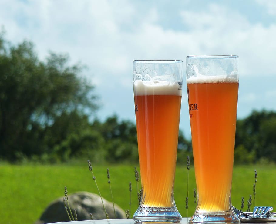 two glass pilsners, beer, refreshment, wheat beer, drink, thirst, glass, beer glass, beer garden, summer