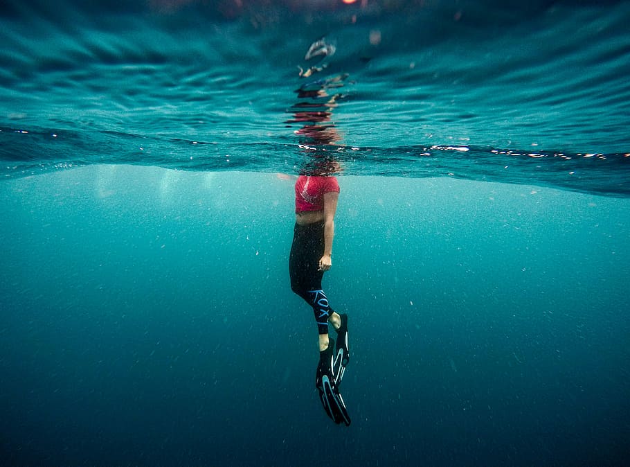 embaixo da agua, fotografia, pessoa, corpo, agua, mulher, rosa, topo, preto, perneiras