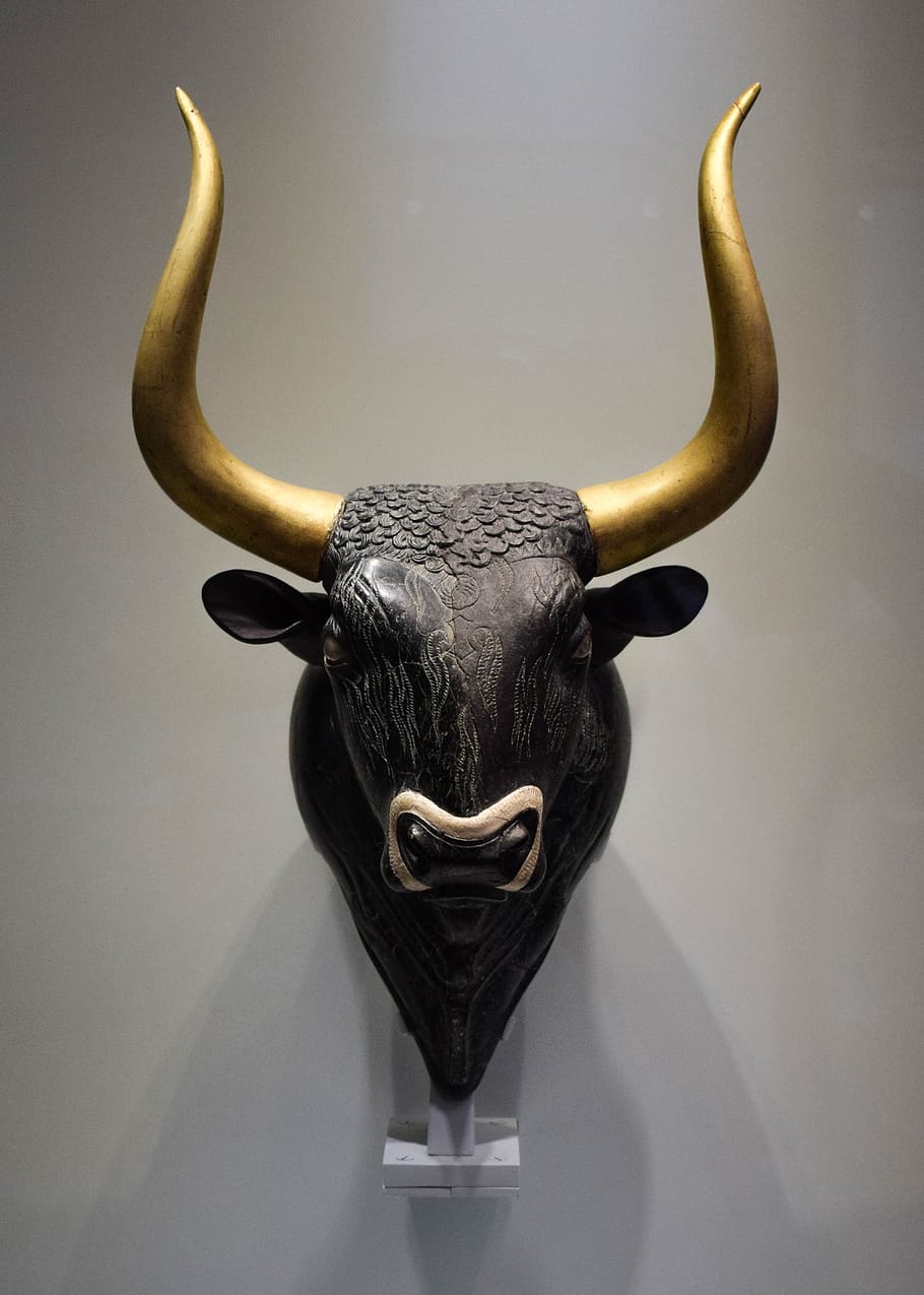 bull, head, horn, taurus, black, zodiac, statue, horned, animal, animal themes