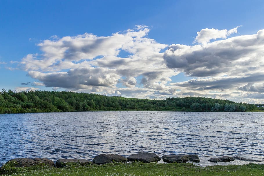 lake, clouds, forest, landscapes, cloudy, water, park, herrington, lakescape, overcast