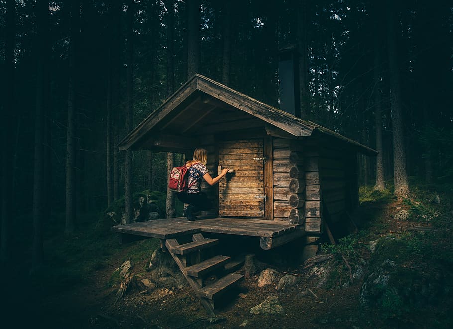 woman, kneeling, brown, wooden, house, middle, woods, person, cabin, surrounded