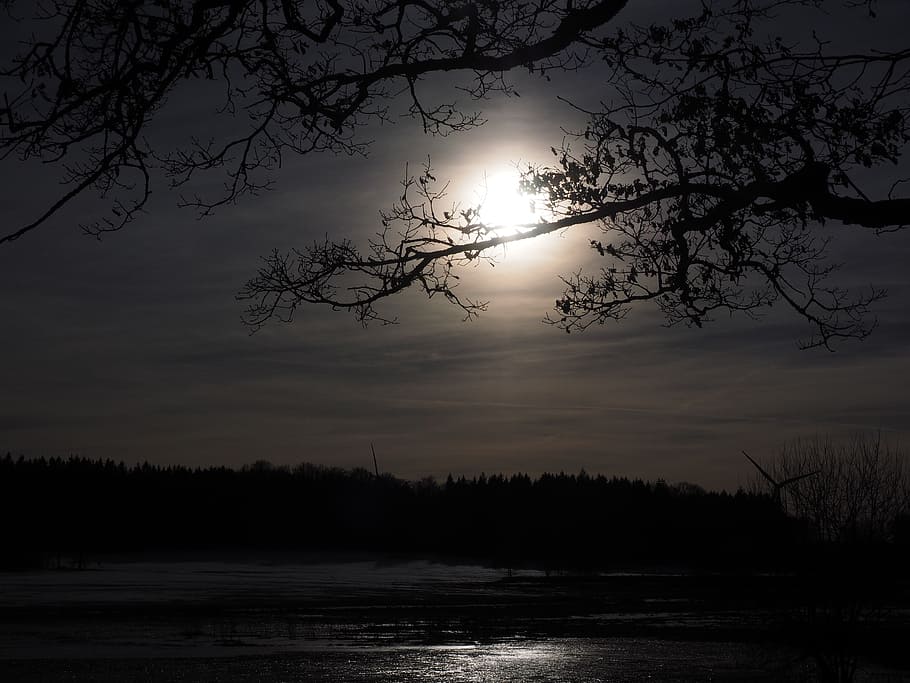 silhouette, trees, lake, moon, moonlight, full moon, ghostly, dark, night, fairytale