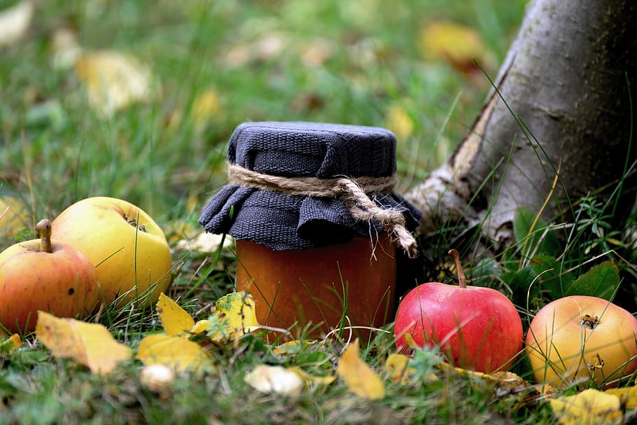 mermelada, mermelada de manzana, manzana, ganancia inesperada, manzanas caseras, prado, cocinar, cosecha, jardín, otoño