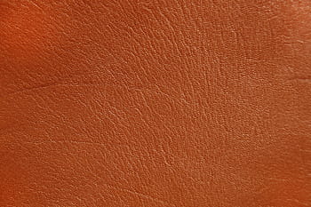 leathery skin texture
