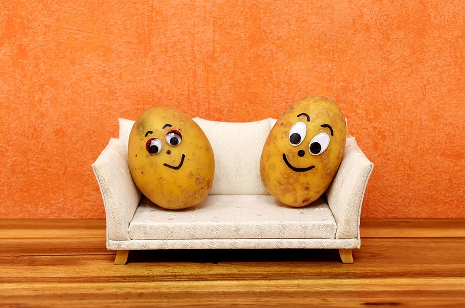 kentang pasangan, putih, ilustrasi sofa, kentang sofa, lucu, kentang, bermalas-malasan, sofa, wajah, pasangan