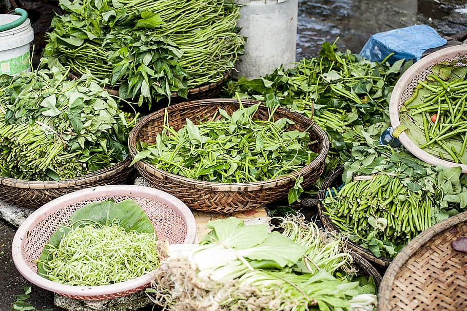 sayuran hijau, sayuran, sehat, makanan, pasar, keranjang, wadah, makanan dan minuman, menanam, warna hijau