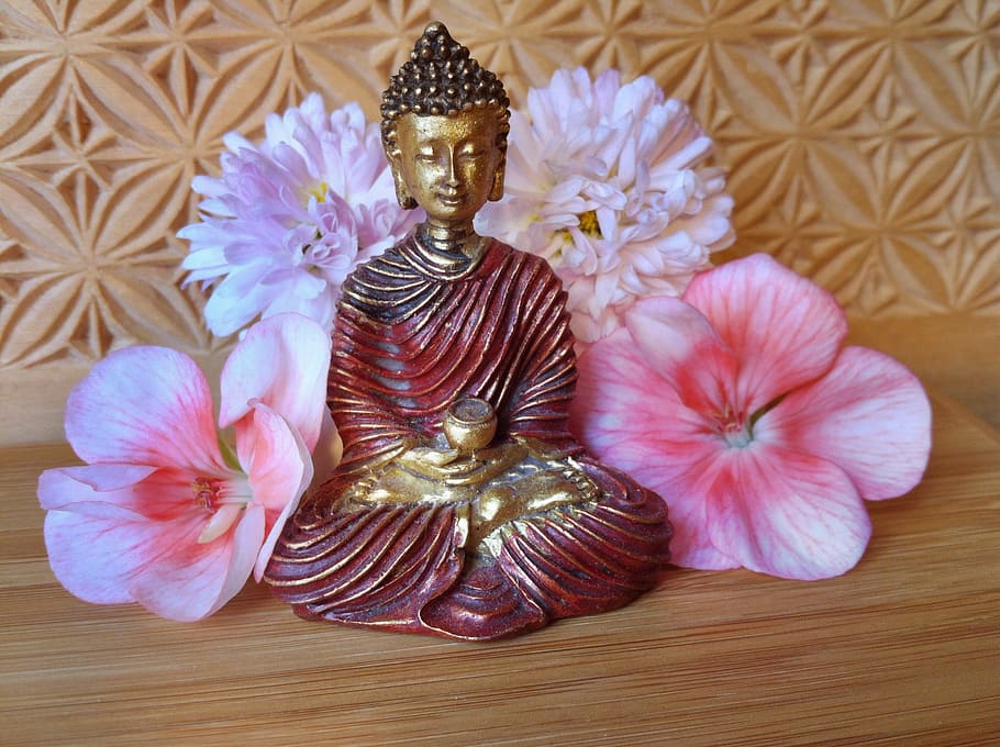 gautama buddha figurine, surrounded, four, pink, flowers, Gautama Buddha, figurine, silent, buddha, figure