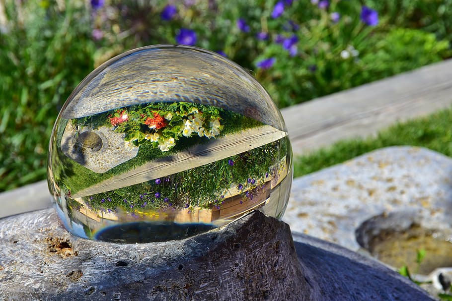 clear glass sphere, glass ball, mirroring, flowers, colorful flowers, garden, grass, reflection, ball, glass