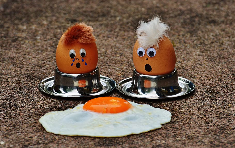 two, brown, poultry eggs, gray, egg, stand, facing, sunny, side-up, fried