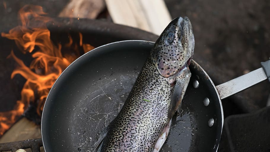 salmon, frying, pan, frying pan, cooking, heat - Temperature, fire - Natural Phenomenon, cooking Pan, flame, food