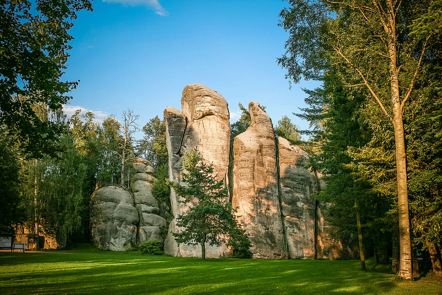 素晴らしいadrspach-tepliceの岩, 素晴らしい, Adrspach-Tepliceの岩, adrspach, チェコ共和国, 岩, 自然, 風景, 有名な場所, 木