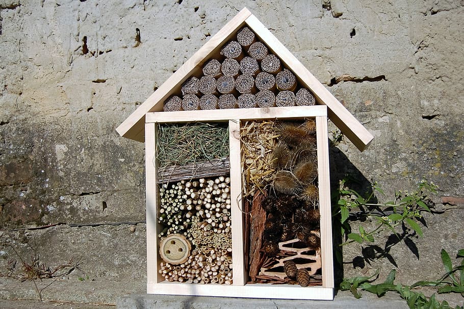 Insect Hotel, House, Shelter, insect, wood, observation, wood - material, outdoors, architecture, day
