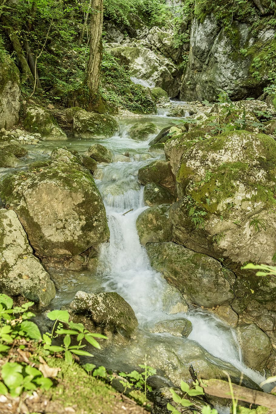 cascada oso garganta protectora, austria, estiria, agua, aerosol, bosque, paisaje, naturaleza, río, hermosa
