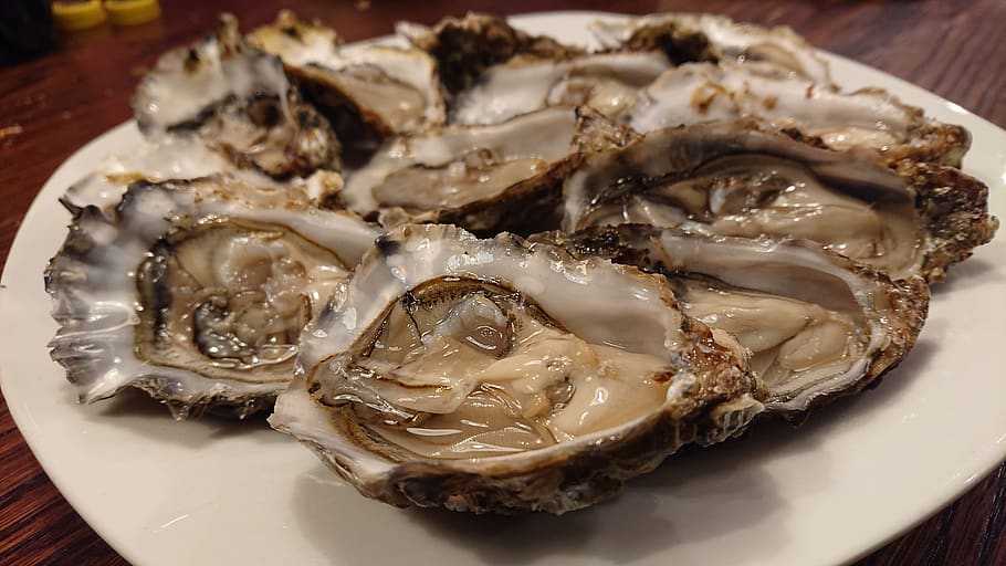 oysters, crustaceans, mussels, seashell, a delicacy, food, freshness, food and drink, plate, close-up