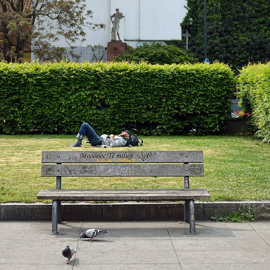 Bench, Still Life, Man, Sleep, park, on the grass, resting, sunny day, outdoors, park - Man Made Space
