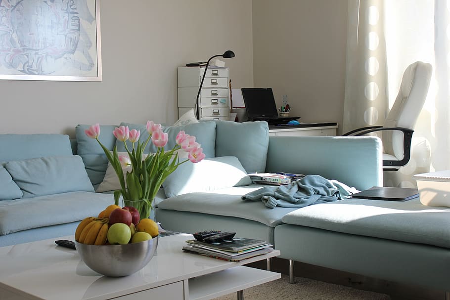 grey, sectional, couch, flowers, center table, the interior of the, blue, seat, bed, domestic Room